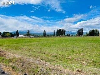 Listing photo 3 for E Main St Lot 2, Glenwood WA 98619