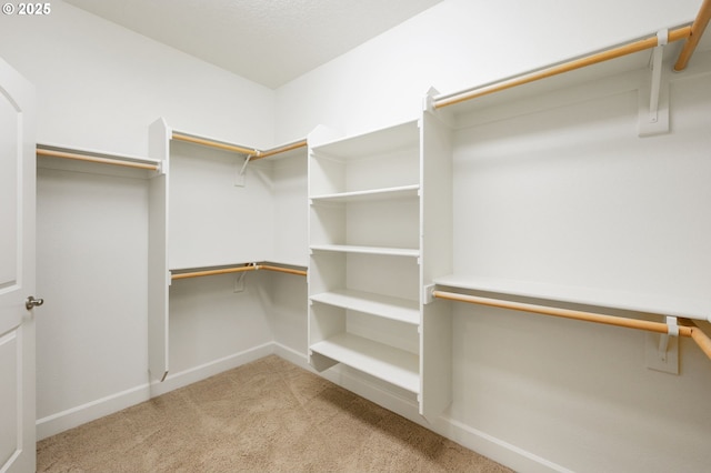 walk in closet with light colored carpet