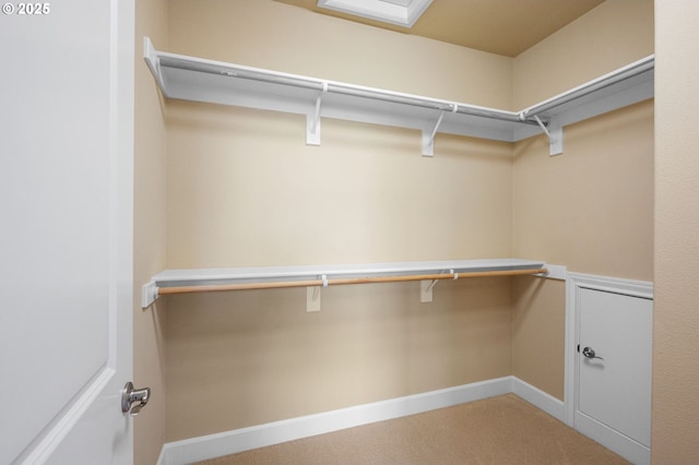 walk in closet featuring carpet floors