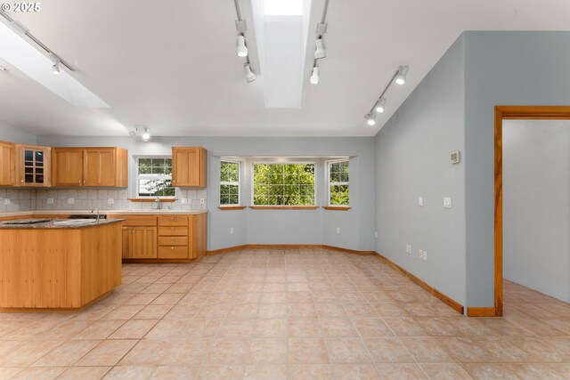 kitchen with plenty of natural light, rail lighting, tasteful backsplash, and glass insert cabinets