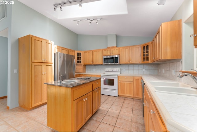 kitchen featuring backsplash, rail lighting, appliances with stainless steel finishes, and a sink
