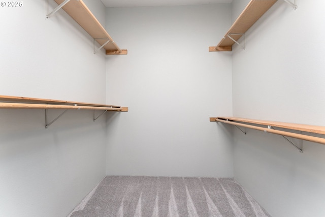 spacious closet with carpet flooring