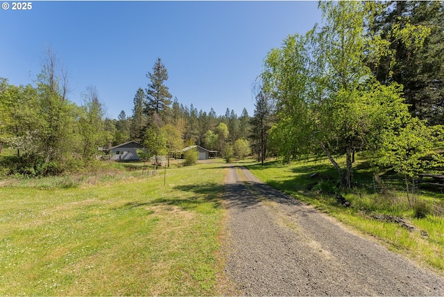 view of street with gravel driveway and a wooded view