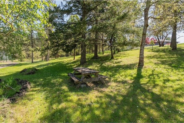 view of yard