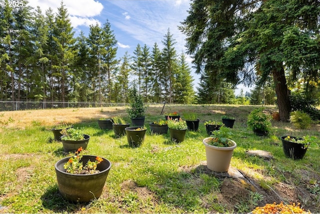884 NE 73rd Ave, Hillsboro, OR 97124 - view of yard