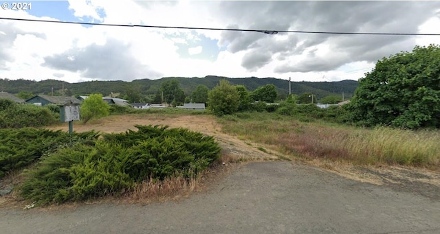 1030 N Old Pacific Hwy, Myrtle Creek OR, 97457 land for sale