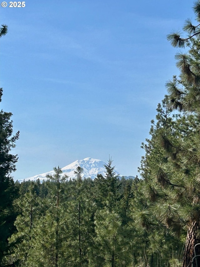 498 Turkey Ranch Rd, Goldendale, WA 98620