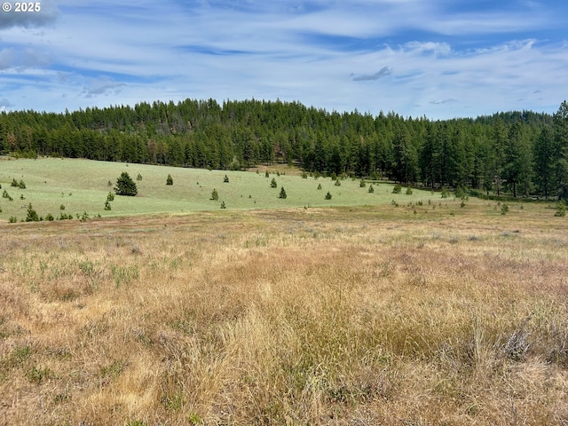 498 Turkey Ranch Rd, Goldendale, WA 98620