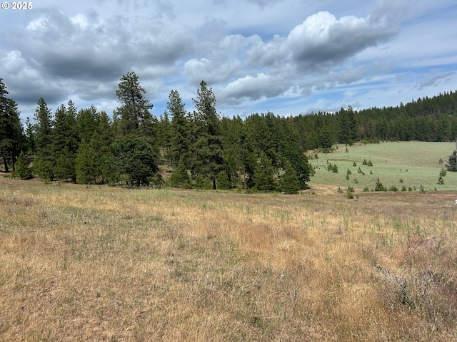 498 Turkey Ranch Rd, Goldendale, WA 98620