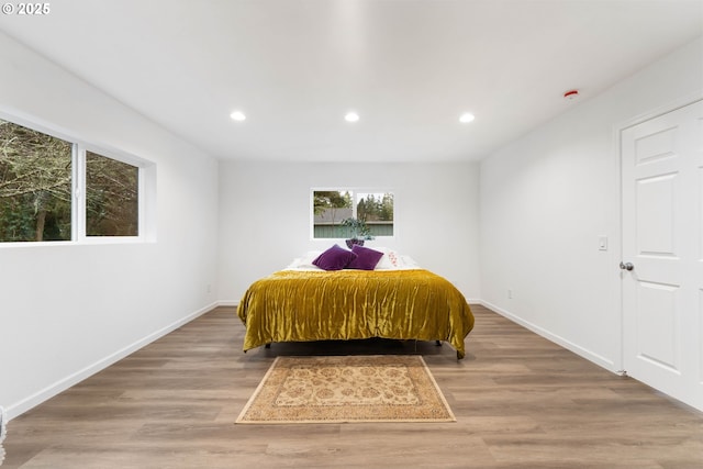 bedroom with hardwood / wood-style floors