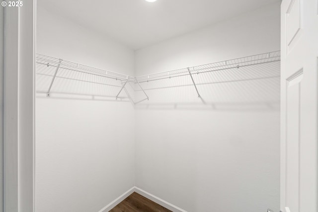 walk in closet featuring hardwood / wood-style floors