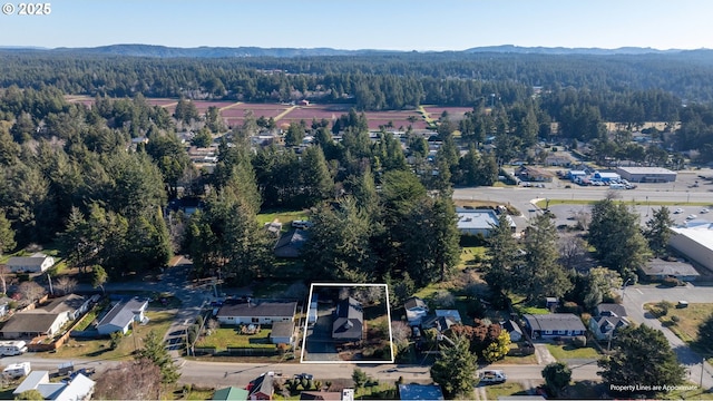 drone / aerial view with a mountain view