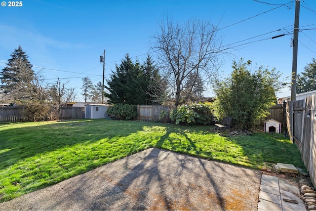 view of yard with a patio and a shed