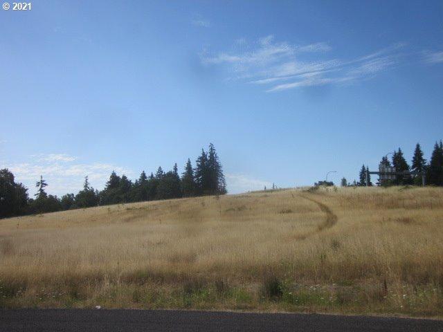 0 NE 209th St, Ridgefield WA, 98642 land for sale