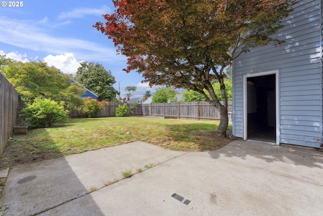 view of yard featuring a patio