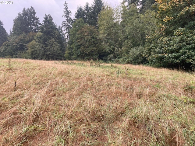 000 NW 166th St, Ridgefield WA, 98642 land for sale