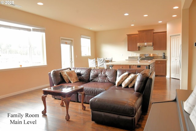 living area with recessed lighting, baseboards, and wood finished floors