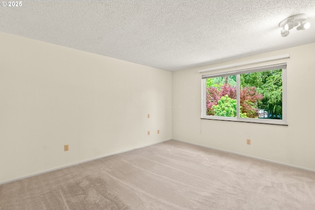 5312 SW Erickson Ave, Beaverton, OR 97005 - empty room featuring light colored carpet and a textured ceiling