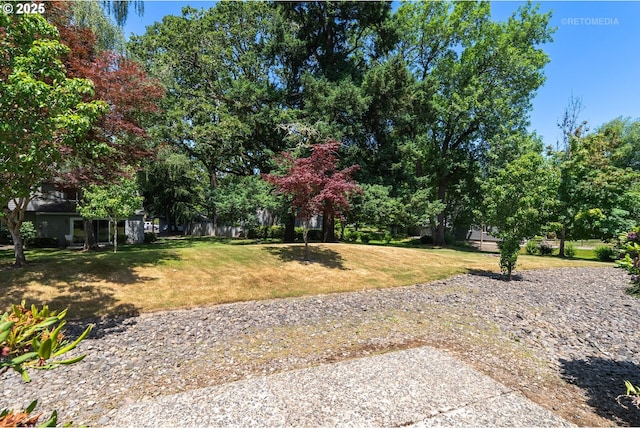 5312 SW Erickson Ave, Beaverton, OR 97005 - view of grassy yard