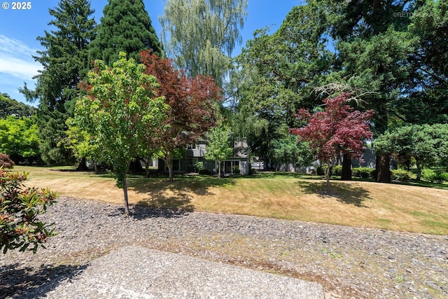 5312 SW Erickson Ave, Beaverton, OR 97005 - view of grassy yard