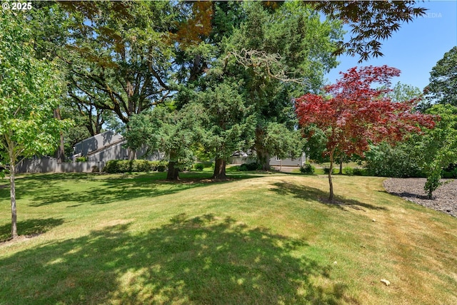 5312 SW Erickson Ave, Beaverton, OR 97005 - view of yard