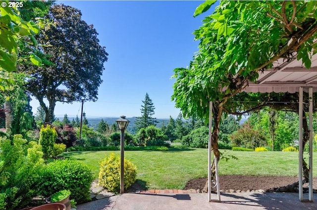 4326 SW Arthur Way, Portland, OR 97221 - view of green lawn