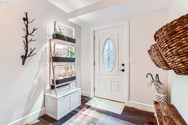 entrance foyer with dark hardwood / wood-style flooring