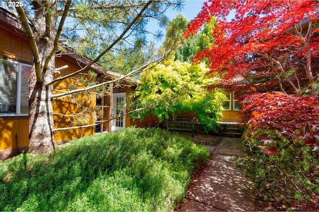 156 Peppermill Rd, Kelso, WA 98626 - view of yard