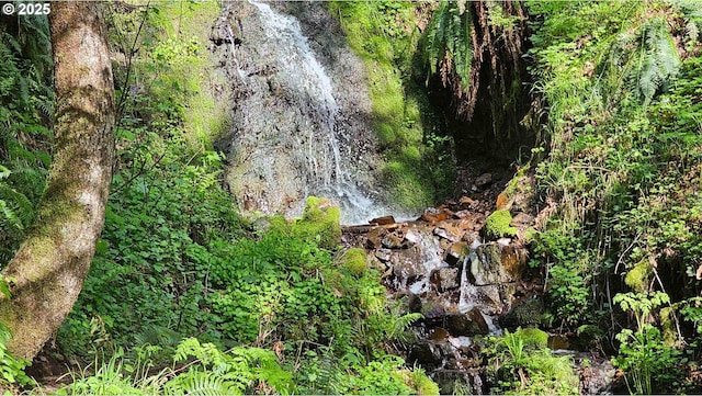 156 Peppermill Rd, Kelso, WA 98626 - view of local wilderness