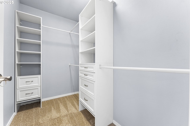 9234 SW Cascara Ln, Tualatin, OR 97062 - walk in closet featuring carpet floors