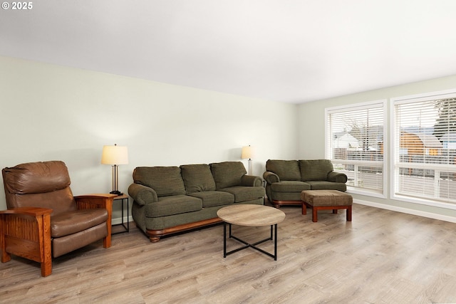 living room featuring light hardwood / wood-style flooring