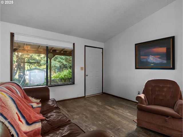 living area featuring vaulted ceiling, a textured ceiling, and wood finished floors