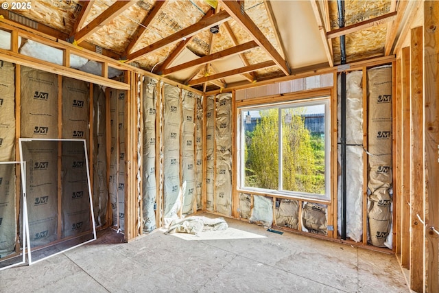 miscellaneous room featuring vaulted ceiling