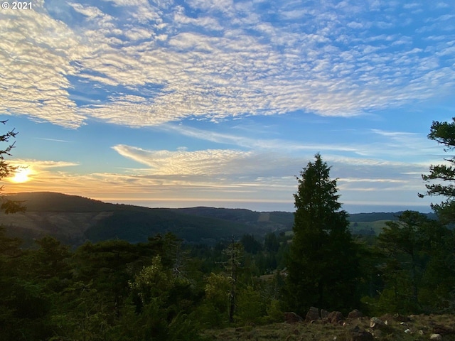 view of mountain feature