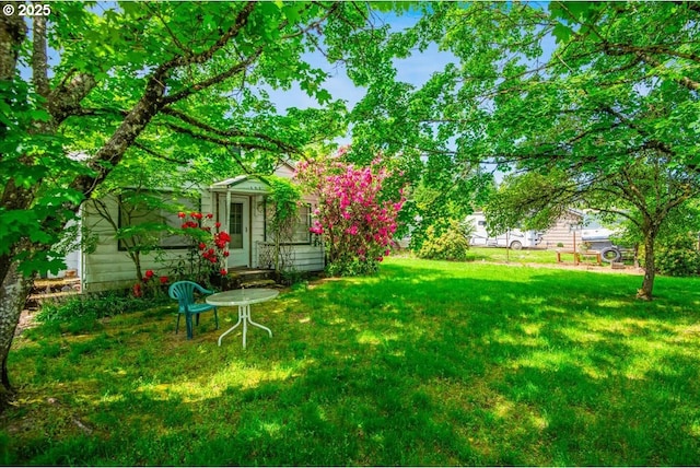 view of grassy yard