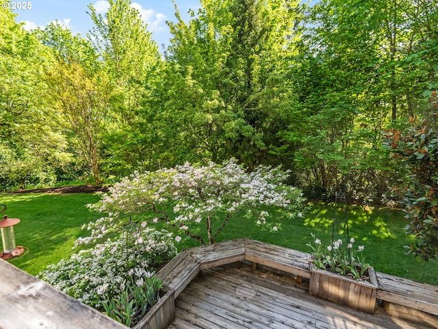 view of yard with a deck