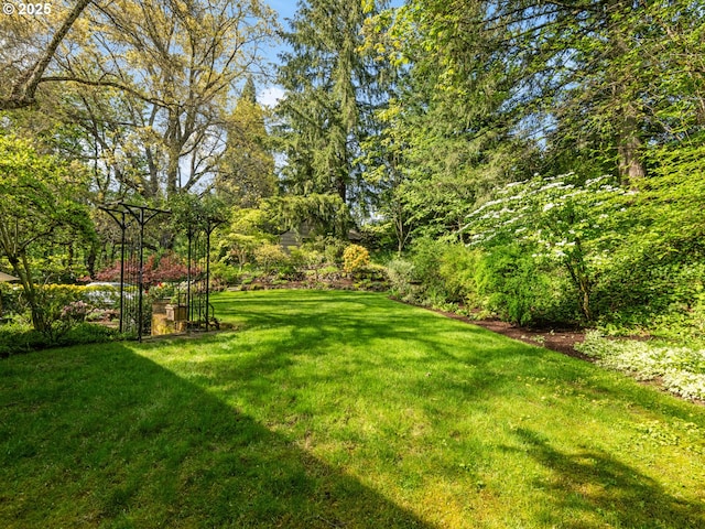 view of yard