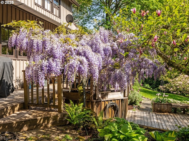 view of yard featuring a deck