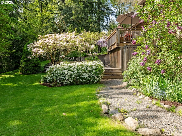 view of yard featuring a deck