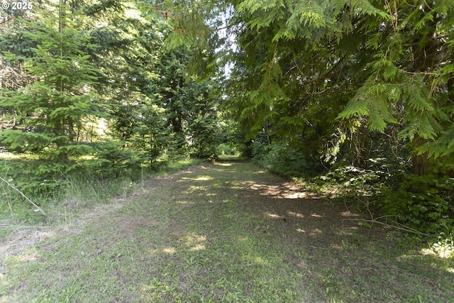 21161 S Upper Highland Rd, Beavercreek, OR 97004 - view of yard