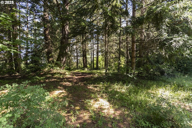 21161 S Upper Highland Rd, Beavercreek, OR 97004 - view of tree filled area