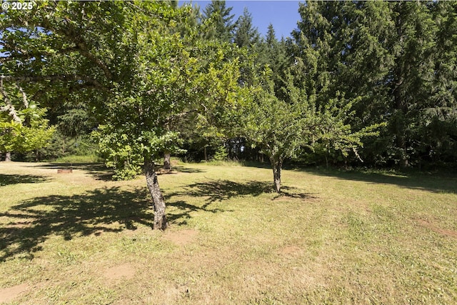 21161 S Upper Highland Rd, Beavercreek, OR 97004 - view of green lawn