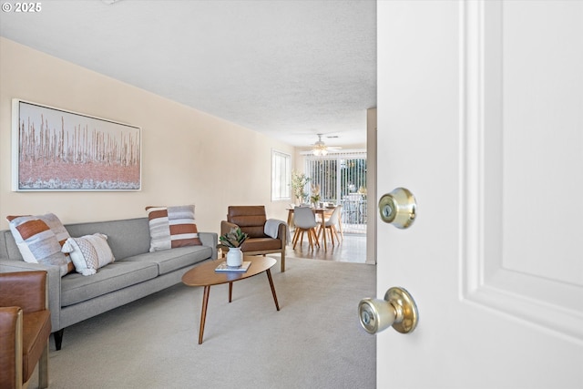 living room featuring carpet floors and a textured ceiling