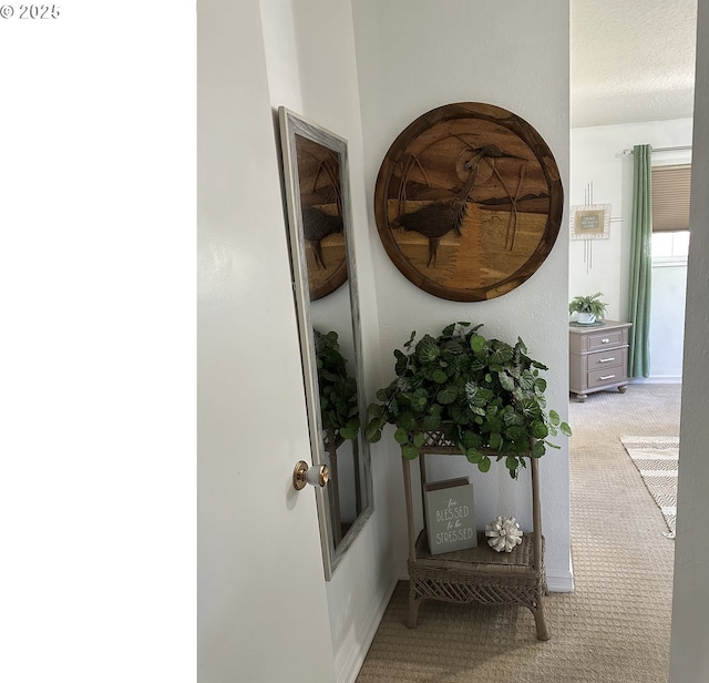 hall featuring carpet flooring and a textured ceiling