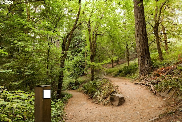 view of community featuring a wooded view