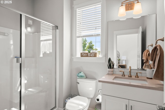 bathroom with vanity, a stall shower, and toilet
