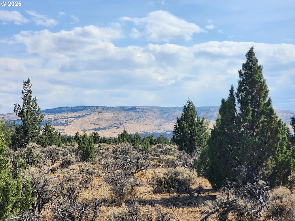 2950 SE Acacia Ln, Prineville, OR 97754