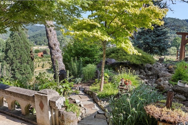 106 Green Valley Rd, Oakland, OR 97462 - view of yard featuring a mountain view