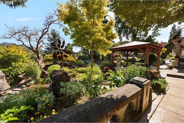 106 Green Valley Rd, Oakland, OR 97462 - view of home's community with a gazebo