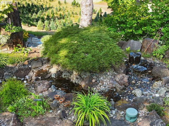 106 Green Valley Rd, Oakland, OR 97462 - view of yard
